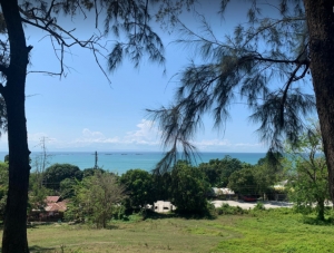 Highway Lot Overlooking the West Philippine Sea, Rosario, La Union